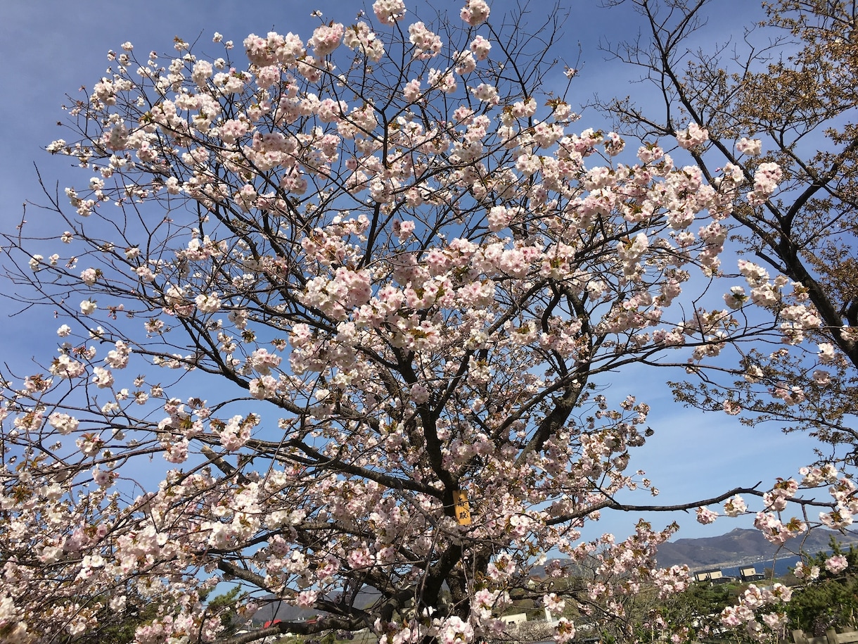子供から大人まで！なんでも相談にのります なんでも相談してください！愚痴でも相談でもまってます！ イメージ1