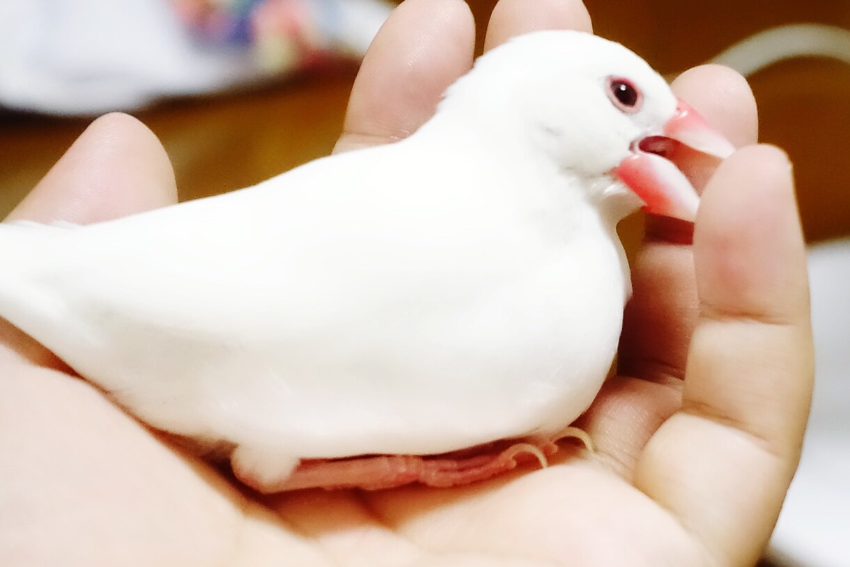 あなたに寄り添います *男性大歓迎✲*ﾟ彼女になります!! イメージ2