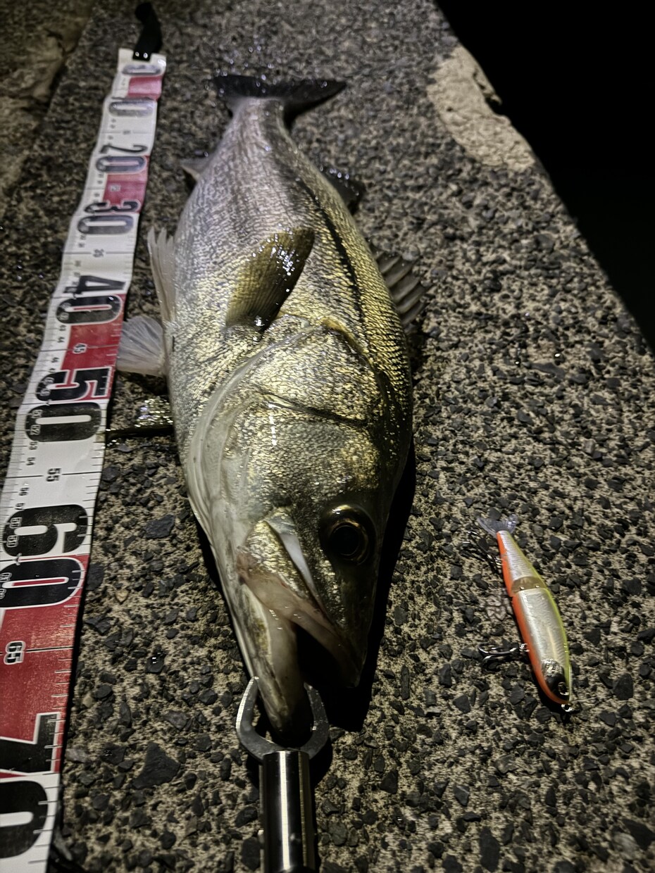 釣りを始めたい方に0から丁寧にアドバイスします 釣りで必要な道具の購入や釣り方を0から丁寧にサポート！ イメージ5