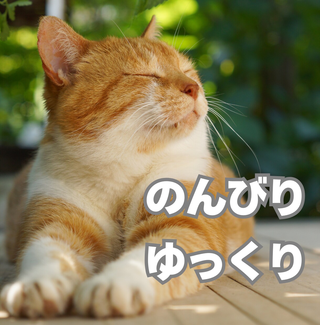 今すぐ❗️癒しのタロット占い師がおはなし聞きます ADHD/ASD/HSP傾向のあなたも/どんなお話でもOK! イメージ5