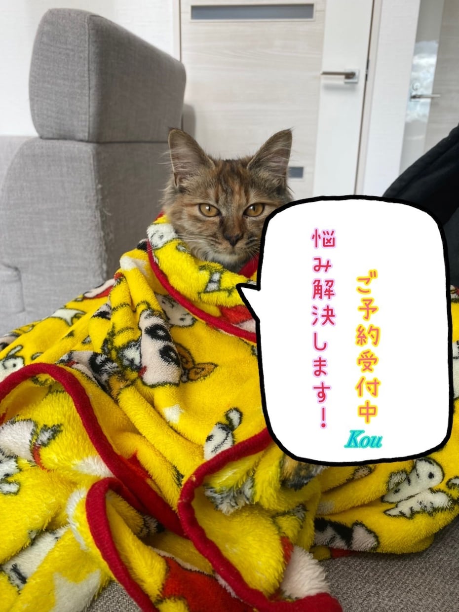 男性心理を紐解き関係向上のお手伝いをします LINE感覚！電話では言いづらい事も！雑談でもOK！ イメージ1