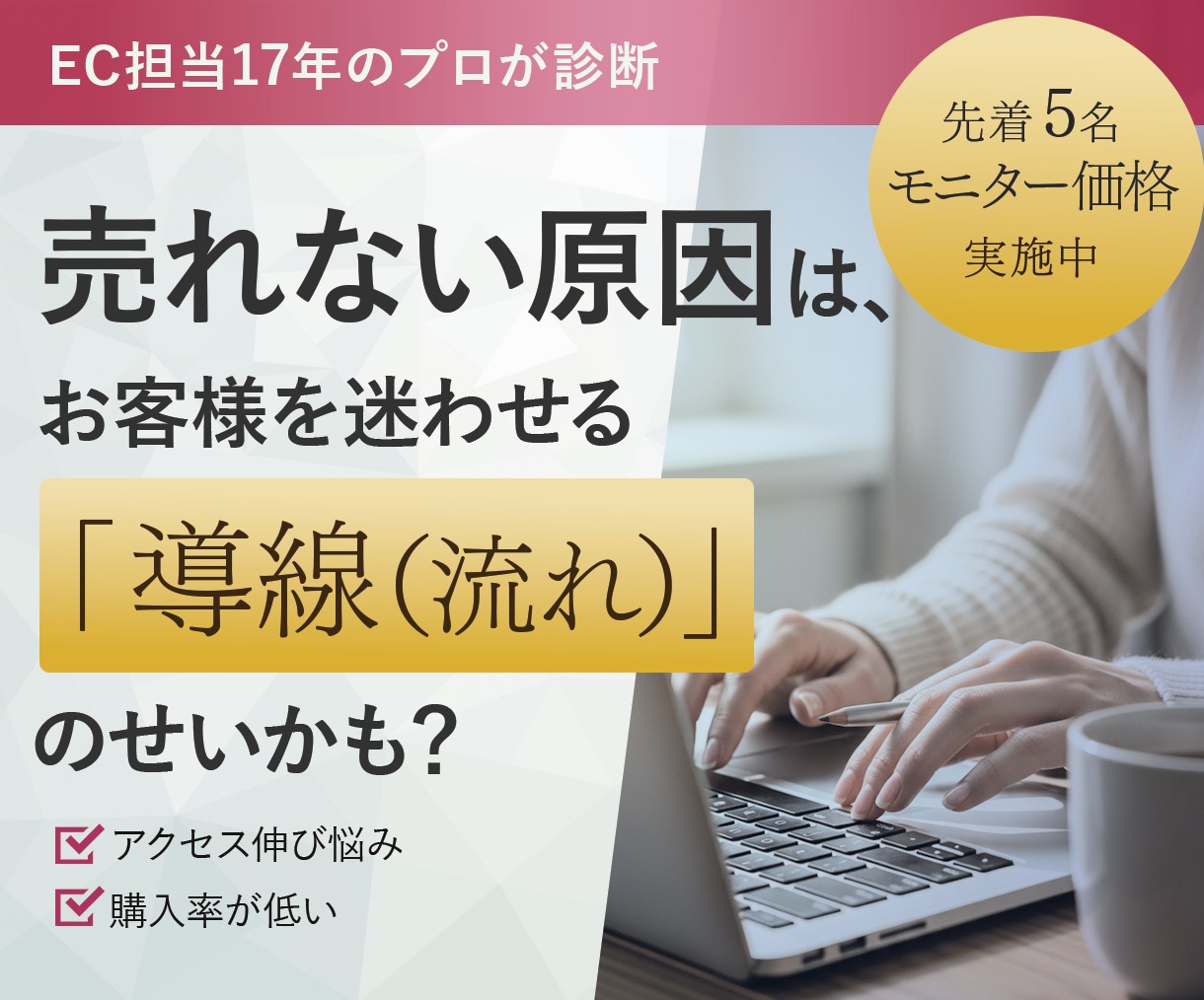 EC歴17年｜店舗の課題と「改善点」を特定します 楽天・Yahoo・自社ECサイト対応！EC診断 イメージ1