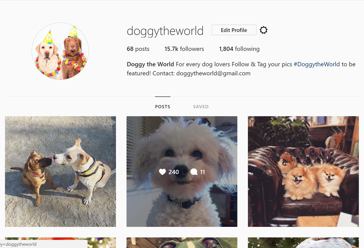 Instagramであなたの写真・動画を投稿します フォロワー30千人!犬がテーマのインスタグラムPRにオススメ イメージ3