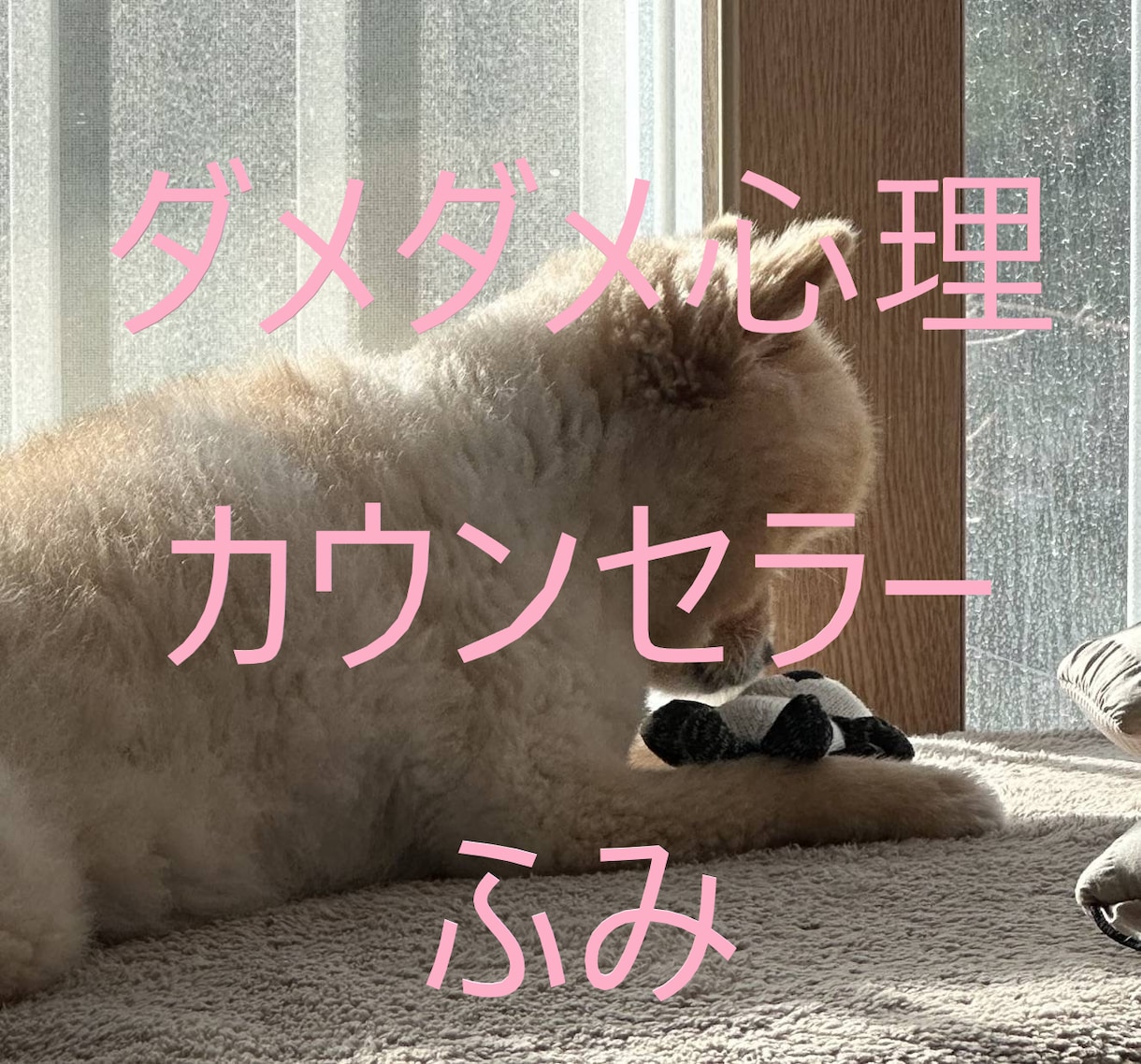 ダメダメ心理カウンセラーが話を聞きます あなたのお悩み、話してみませんか？ イメージ1
