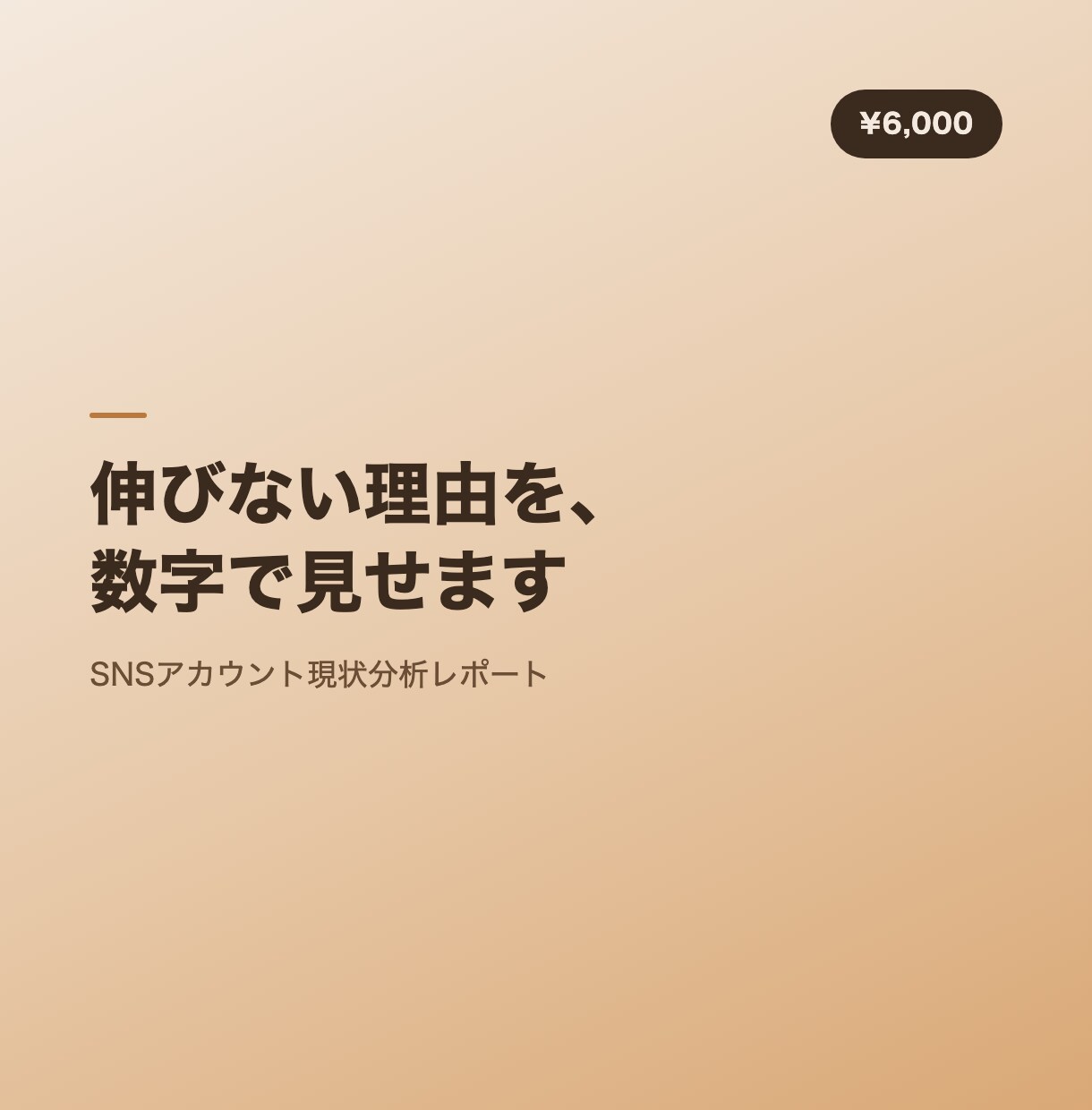 SNSが伸びない理由を数字で診断します 現状分析で伸びない理由を可視化 イメージ1