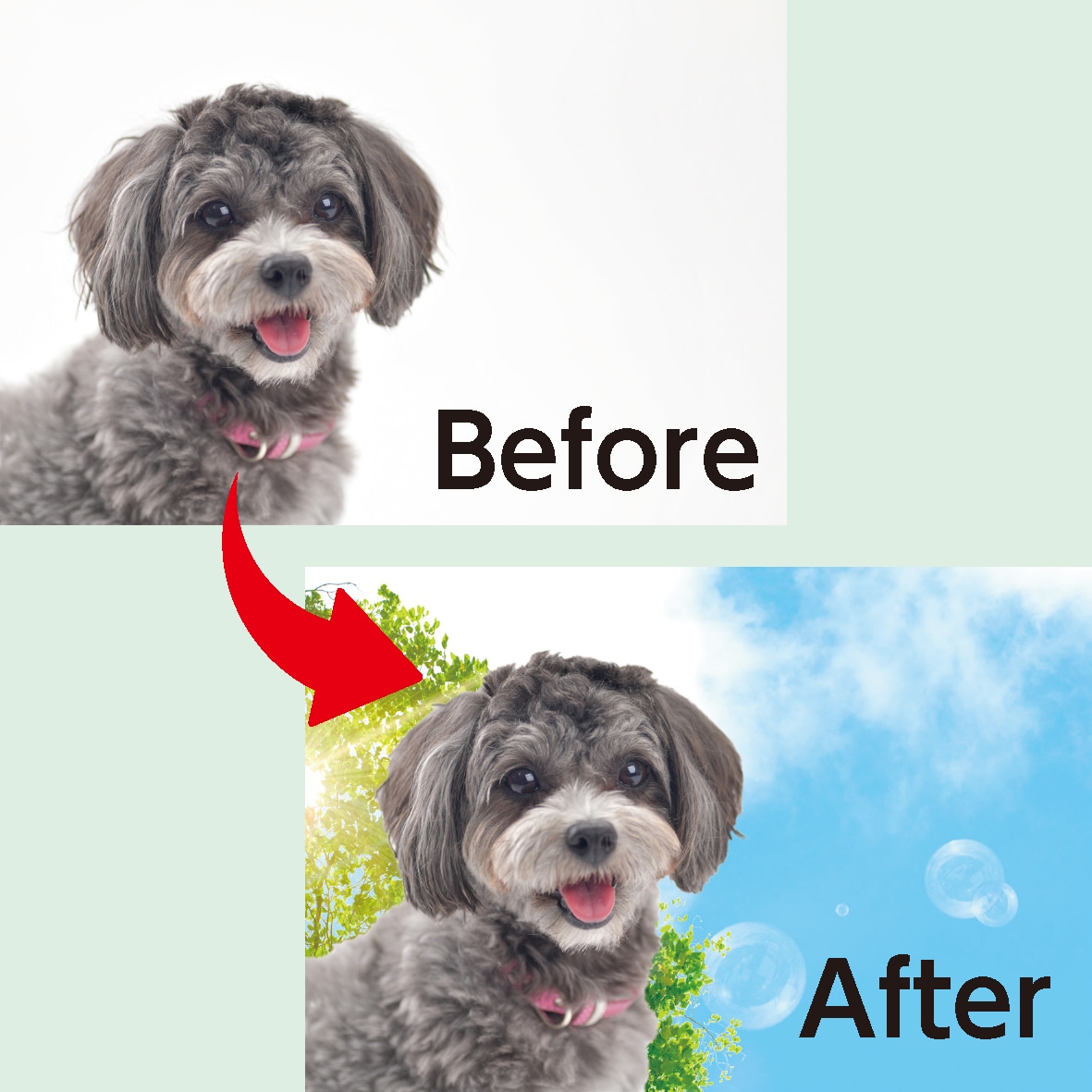 Photoshopでの画像修正・切り抜き承ります 画像の修正、切り抜きを安価で承ります イメージ1