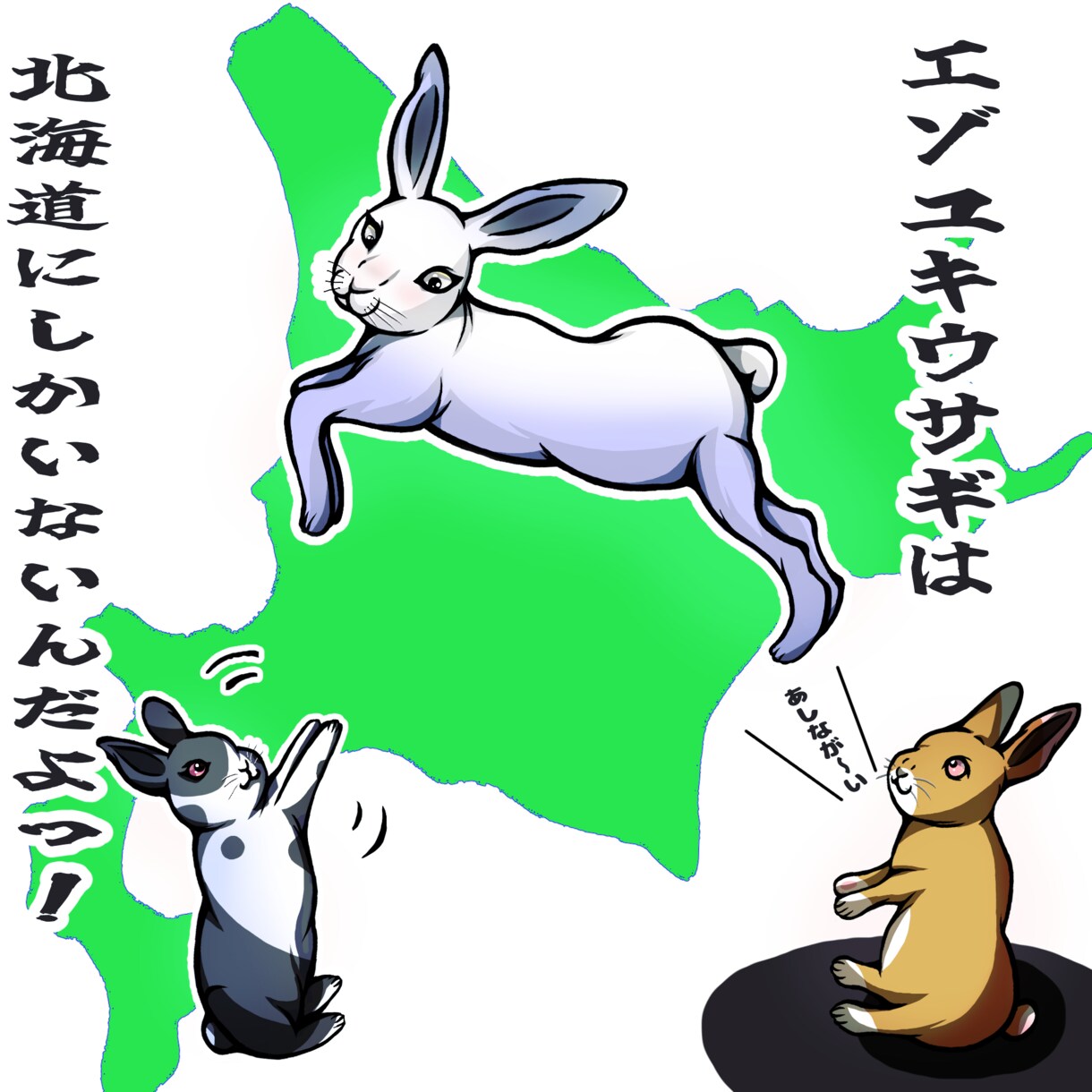 動物全般(ペット)などデジタルイラストにします 写真を送っていただければ、デジタルイラストに加工します。 イメージ7