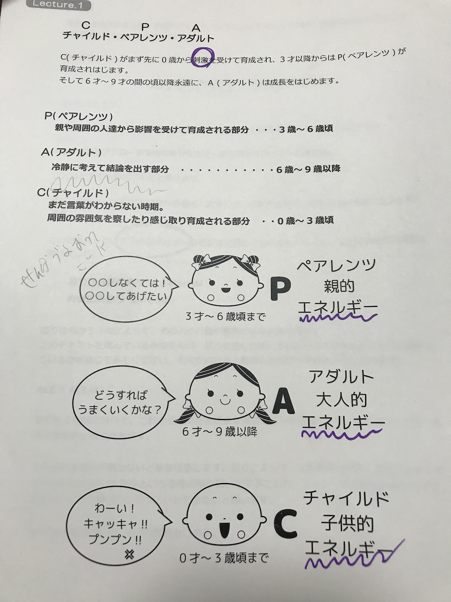 TA(交流分析)カウンセリングします 個人の性格特性を五段階のエゴグラムに基づいて解説します！ イメージ4