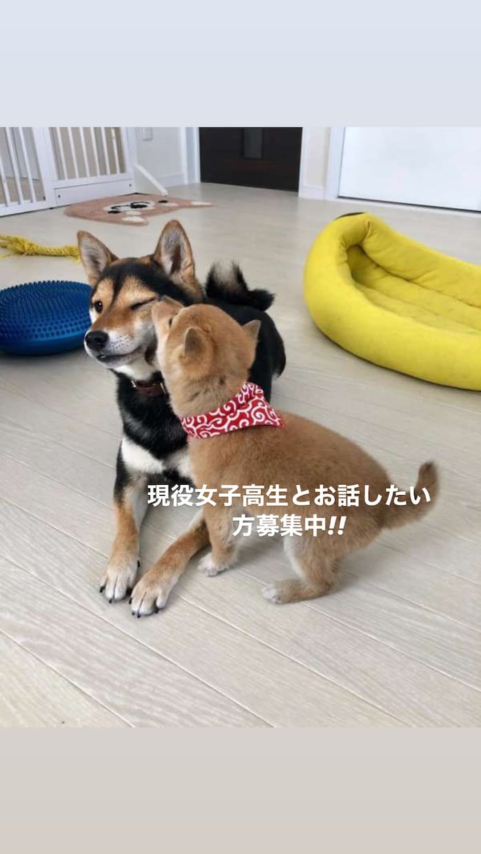 現役女子高校生がお話聞きます 誰でも何分ならでもOK!女子高生とお喋りしたい方募集中です！ イメージ1