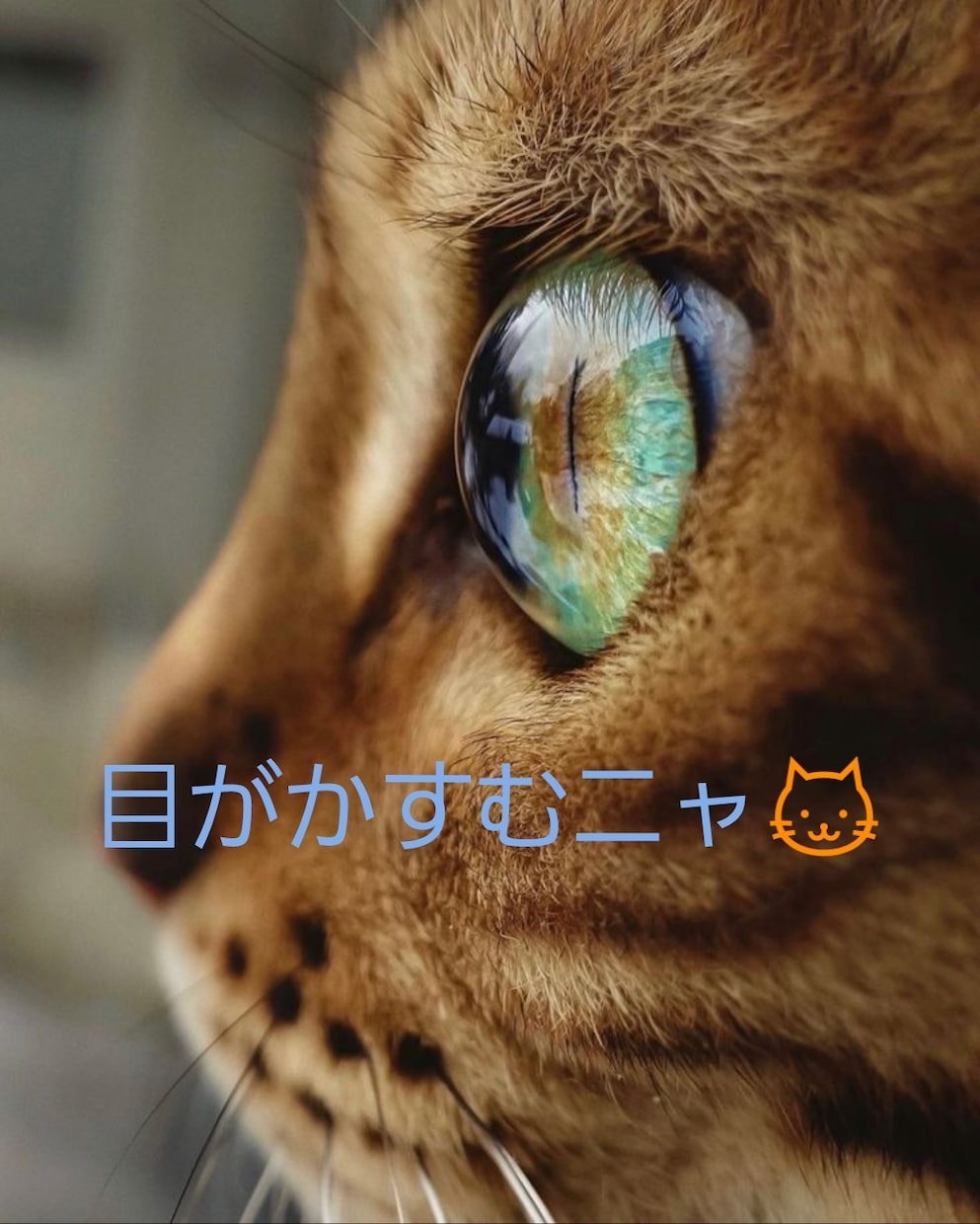目の疲れに強力波動！3日間で視界がクリアになります 疲れ目に心地よい癒しの波動を与え、眼精疲労を撃退！ イメージ2
