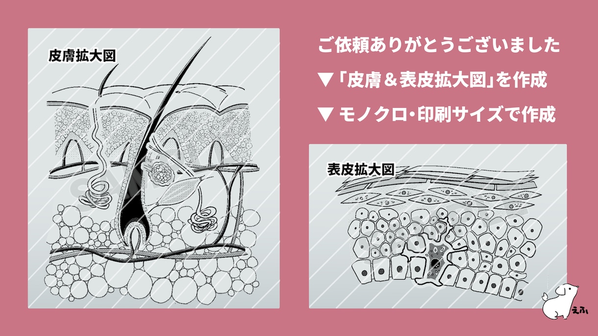 医療系解説絵描けます イラストが得意な薬剤師です！医療系イラスト描けます！ イメージ5