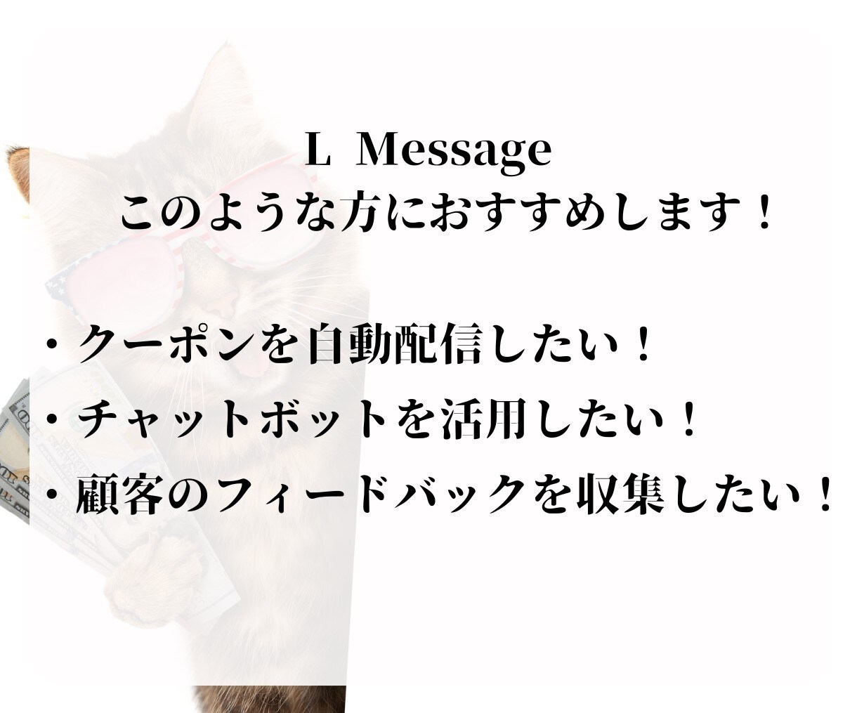 LINE公式アカウント作成もエルメの導入もやります エルメ導入で性能アップしたLINEを制作いたします！ イメージ6