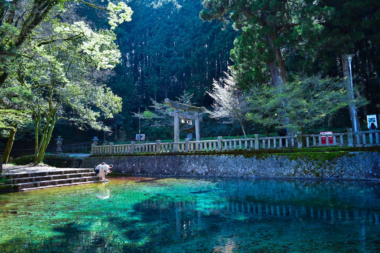 暇つぶしに使ってください。あなたの相手になります なんか誰かと話したい。そんな時に是非。 イメージ2