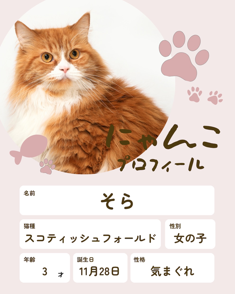 猫instagramの投稿や広告画像制作します ねこに特化！イメージに寄り添い丁寧にデザイン制作いたします！ イメージ4