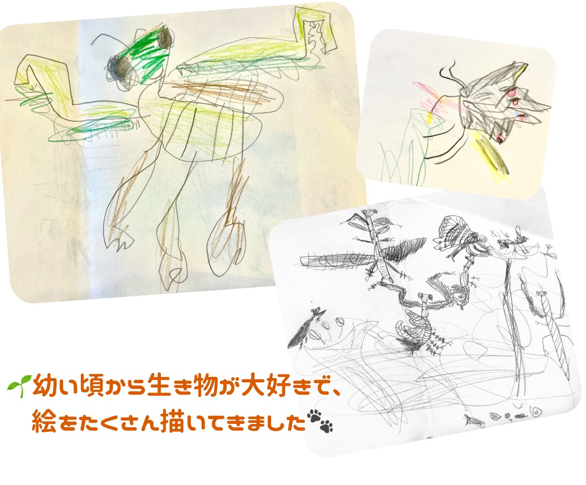 原画郵送♪  大切なペットを鉛筆でリアルに描きます 原画郵送/リアルな鉛筆スケッチ画/ポストカード〜A4まで イメージ6
