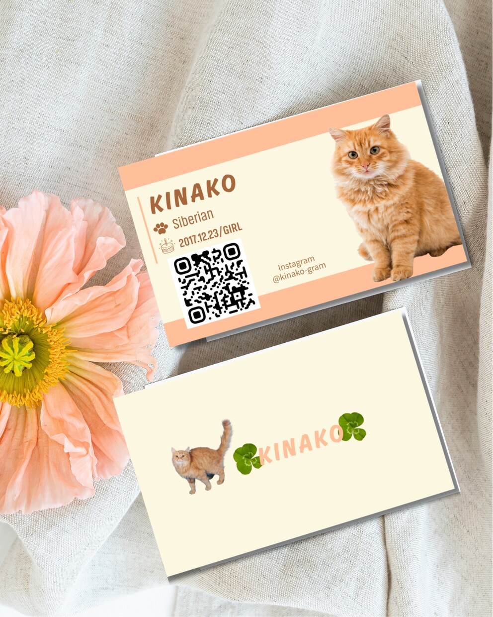 かわいい”うちの子”名刺をお作りしてます ねこちゃん名刺！かわいいパステルバイカラー イメージ3
