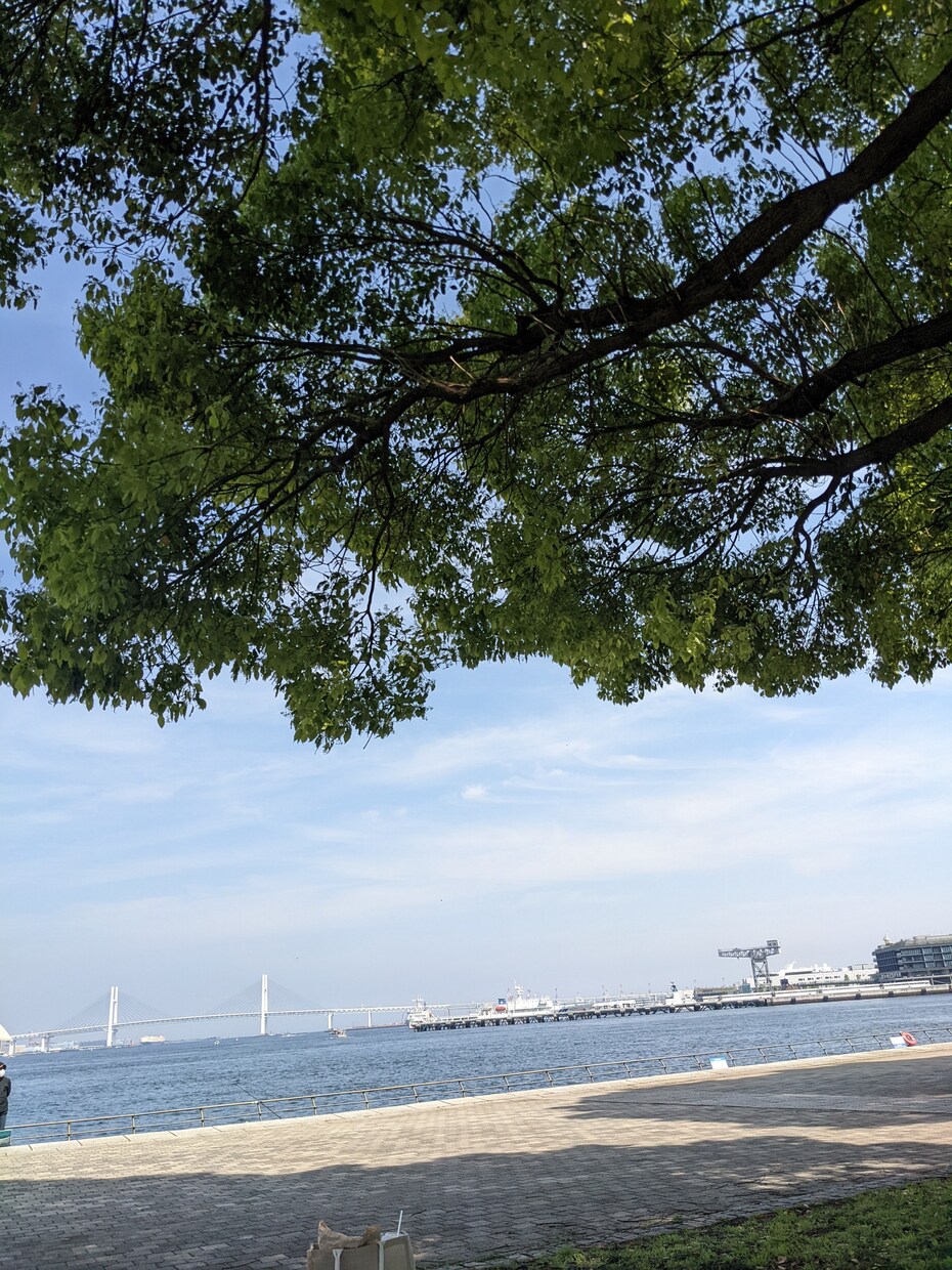 心が落ち着かない人へ。会話で心をすっきりさせます 心のモヤモヤは言葉で晴れます、少しでも力になれたら嬉しいです イメージ6