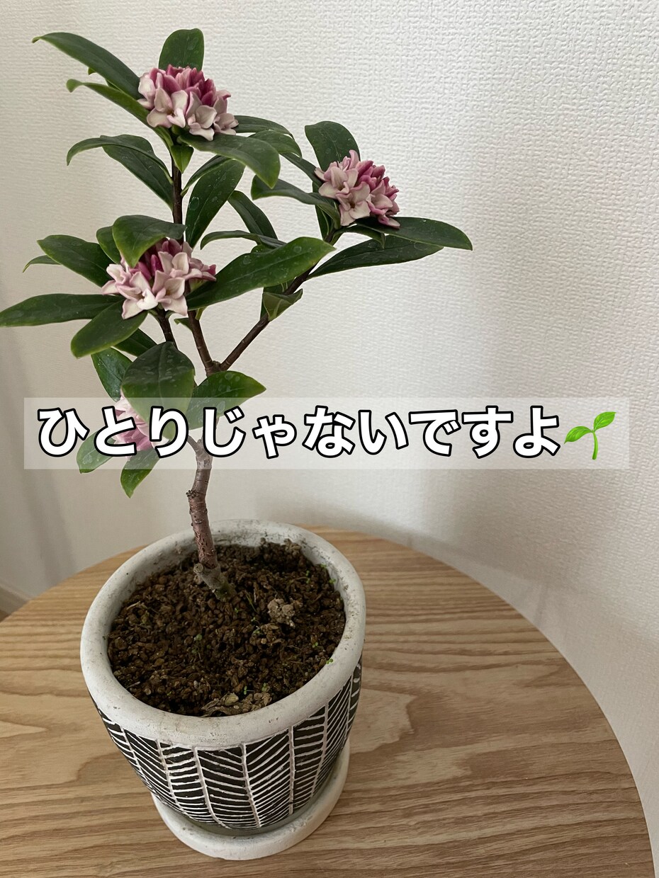あなたのお悩みを受け止めます 生きづらい世の中を休憩しながら生きてみませんか イメージ1