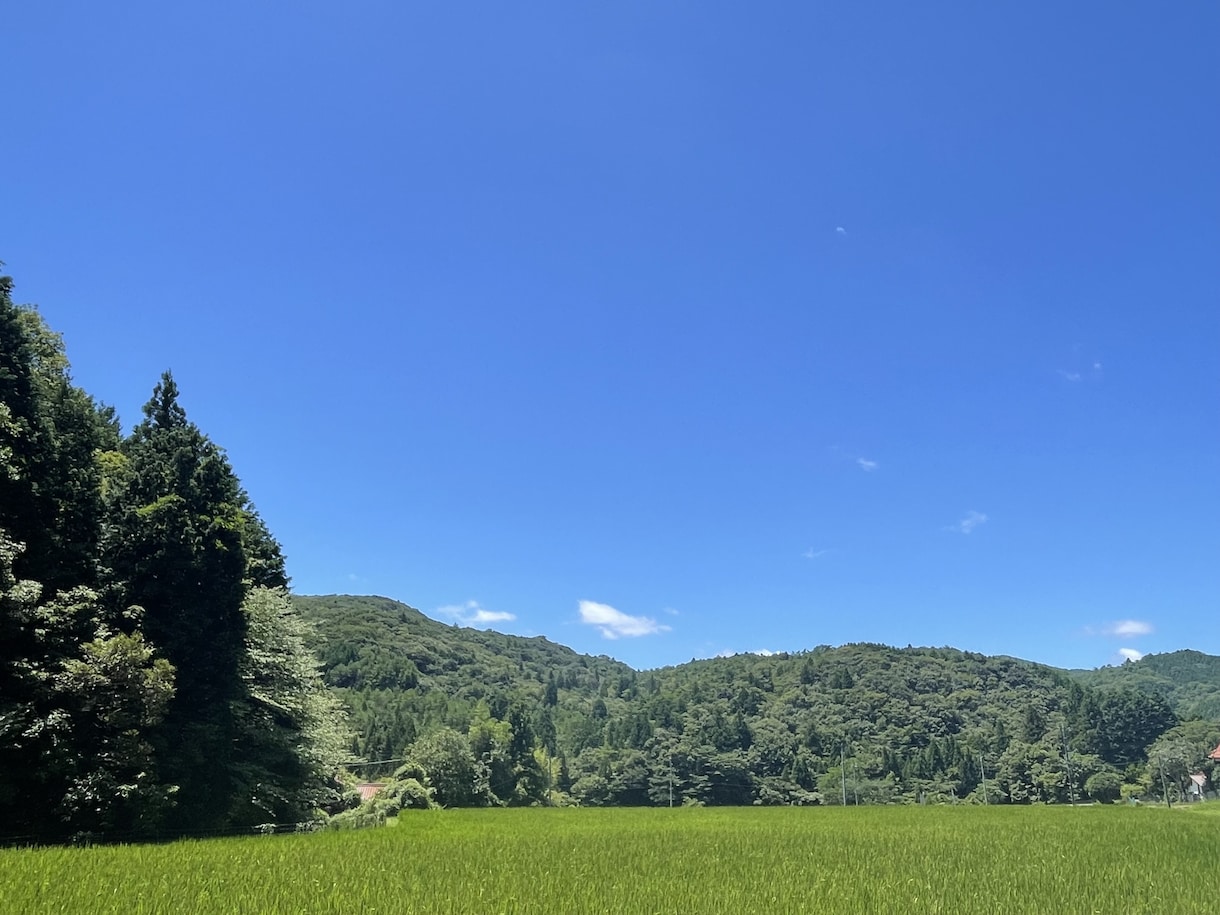 初回限定価格　体験談から移住の不安に答えします 移住に興味ある方へ、体験談を交え疑問や不安を丁寧にサポート イメージ1