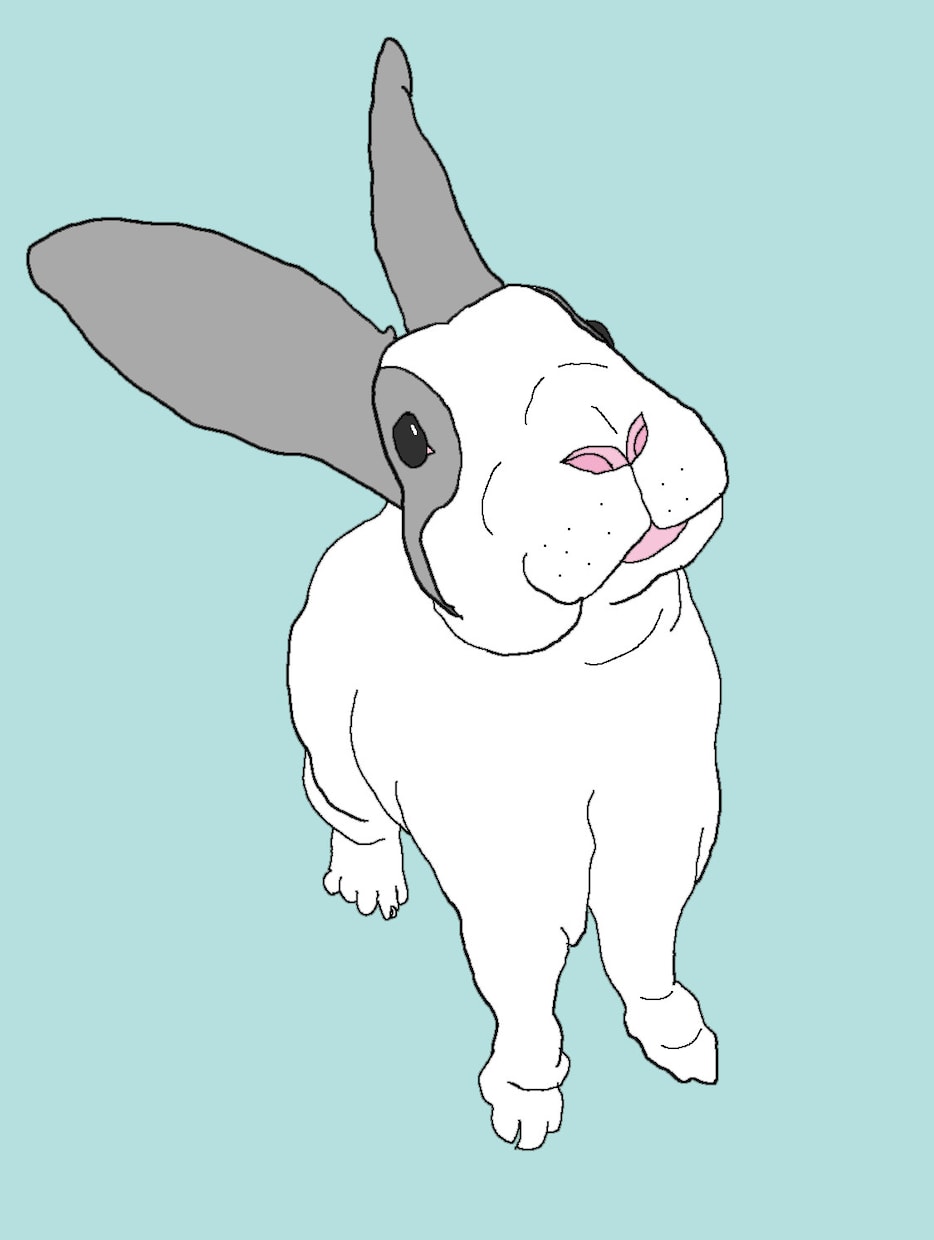 アイコンにもおすすめ！線画イラスト作成いたします シンプルな線画イラストを背景違いで3パターン納品いたします！ イメージ6