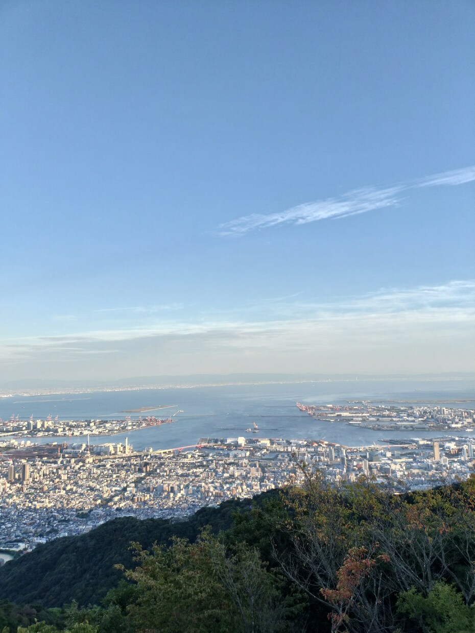 変わりたいのに動けないあなたへ 光の方へ導きます 変わりたいのに動けないあなたへ 〜光の方向転換リーディング〜 イメージ8