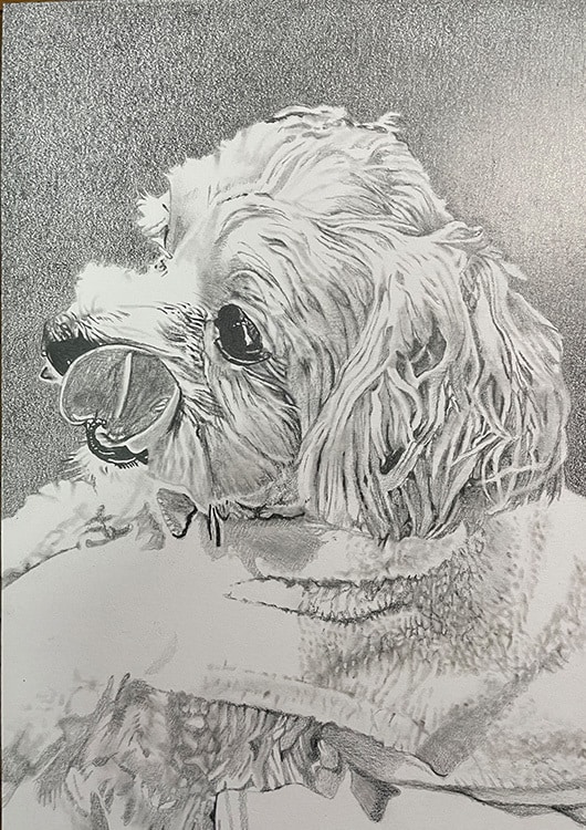 猫、犬等ペットの似顔絵をモノクロでリアルに描きます 鉛筆画、パステルなどで白黒の小動物を写真のように描きます イメージ5