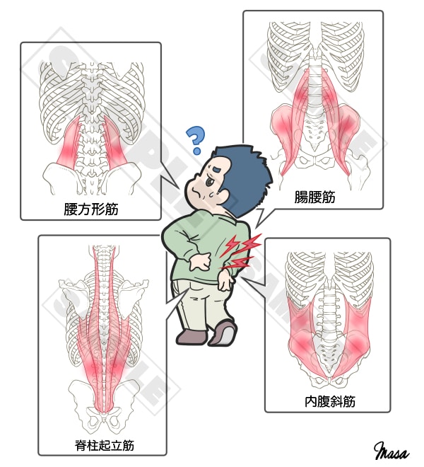 医療・看護・教材イラスト ポップな絵柄で制作します 健康フィットネス系、筋肉・骨格・臓器、医療器具etc… イメージ6