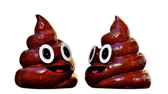 画像の背景を除去します 画像の背景をたった5分！で除去します。 イメージ4