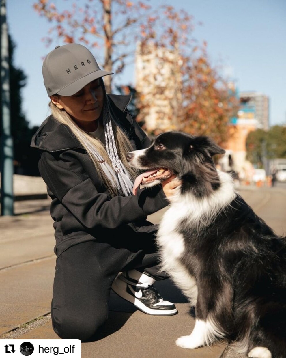 犬のプロがペットビジネスの成功をサポートします 監修、イメージ写真の撮影、PR、新規サービスの相談など イメージ6