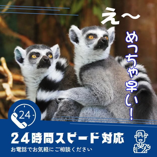 業界最速◆至急作成希望の方専門/LP制作代行します 最短翌日納品！LP構成/ライティング/デザイン/丸投げでOK イメージ1