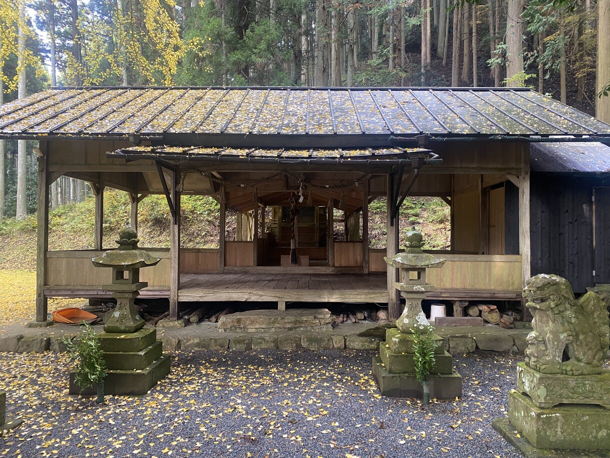 タロット•オラクルカードで神託メッセージで占います タロット•ダーキニオラクルカードの神託のメッセージ イメージ2
