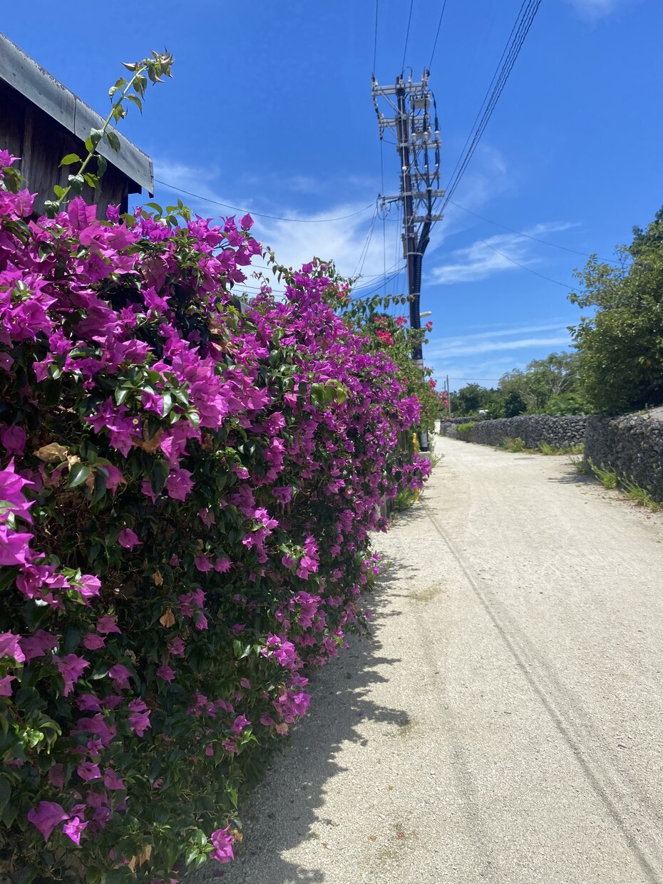 石垣島の旅行おすすめ教えます 移住経験有だからこそのおすすめのお店やポイント教えます！ イメージ2