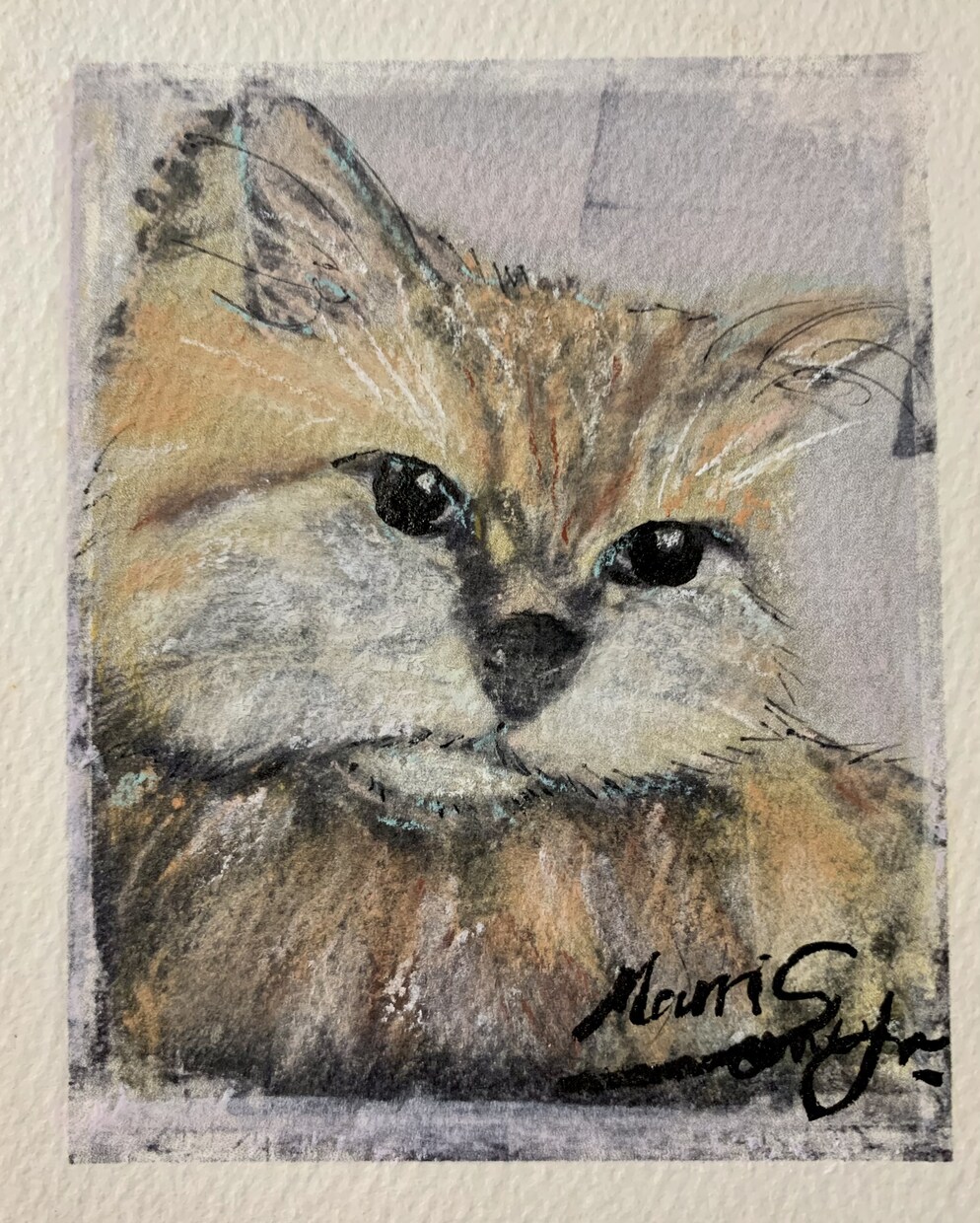猫ちゃんワンちゃん描きます 大切なワンちゃんニヤ〜ちゃんコンテ画にします。 イメージ5