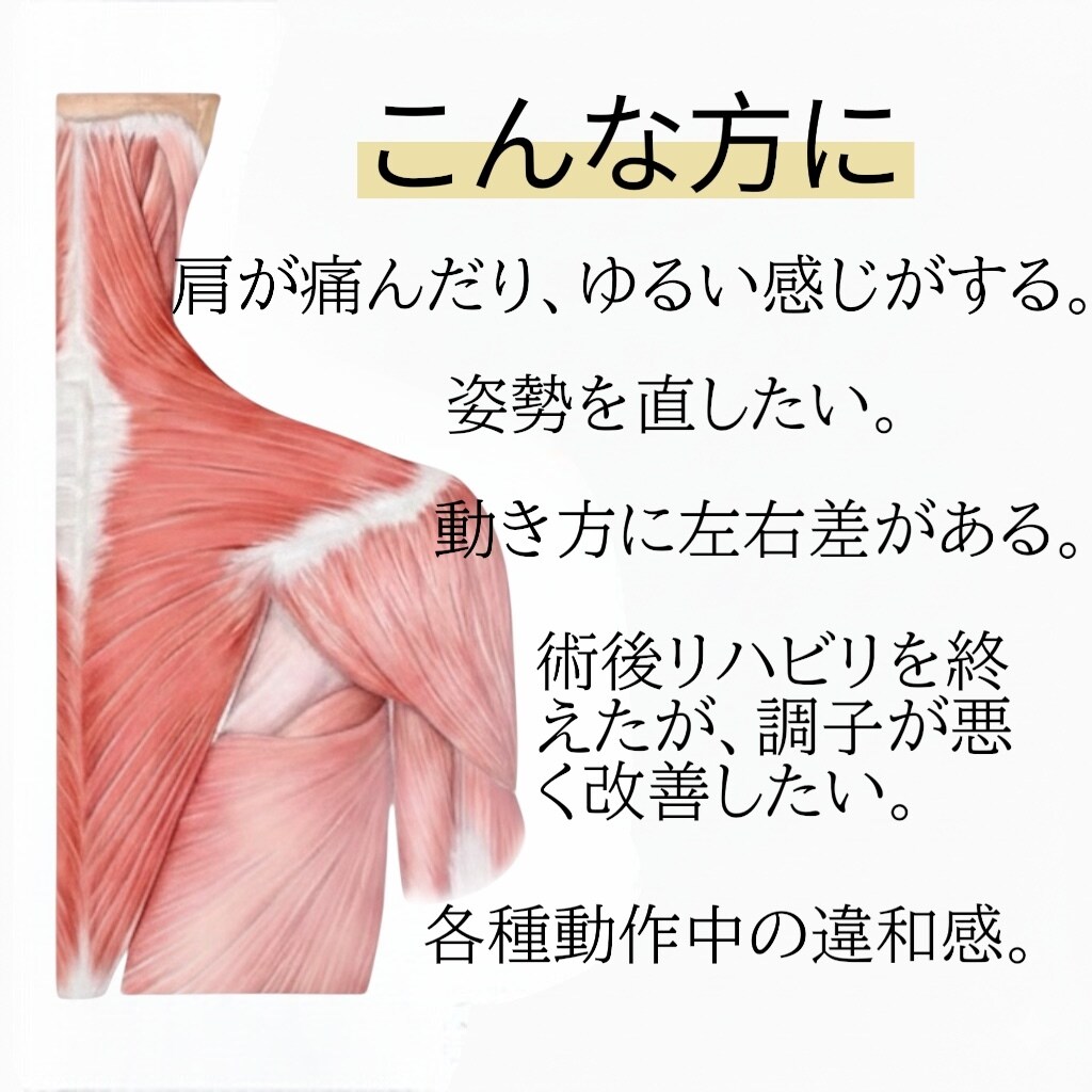 鍛える前に整える。動作評価から身体を再設計します 国際資格からの評価に基づく個別設計セッション イメージ2