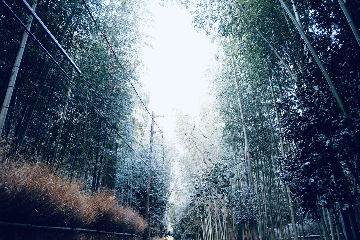 綺麗な風景の写真を提供します 加工用の元写真が欲しい方、風景の写真が好きな方へ イメージ2