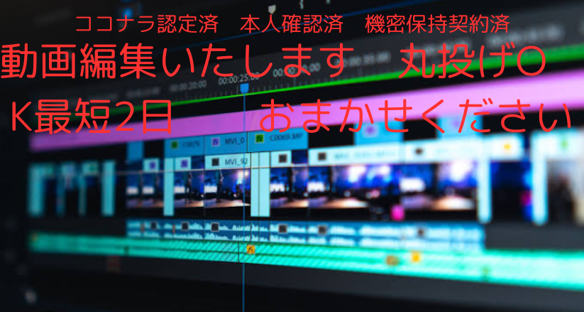 YouTuber動画編集いたします 迅速で対応いたします　丸投げOK　後は、お任せください イメージ2