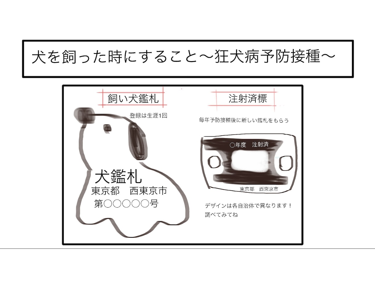 獣医さんとやってみよう自由研究を提供しています 獣医師が子供向け自由研究の種を考えます イメージ1
