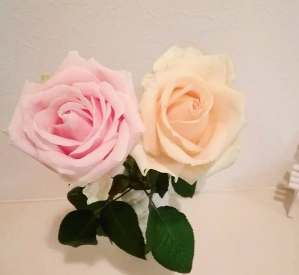 メール占い⭐︎恋愛を占います 恋愛占い♡相手の気持ち、未来の展開、時期など占います！ イメージ1