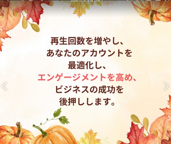 TikTok再生回数増やします TikTokで再生回数UP♪人気クリエイターの道へ★ イメージ9