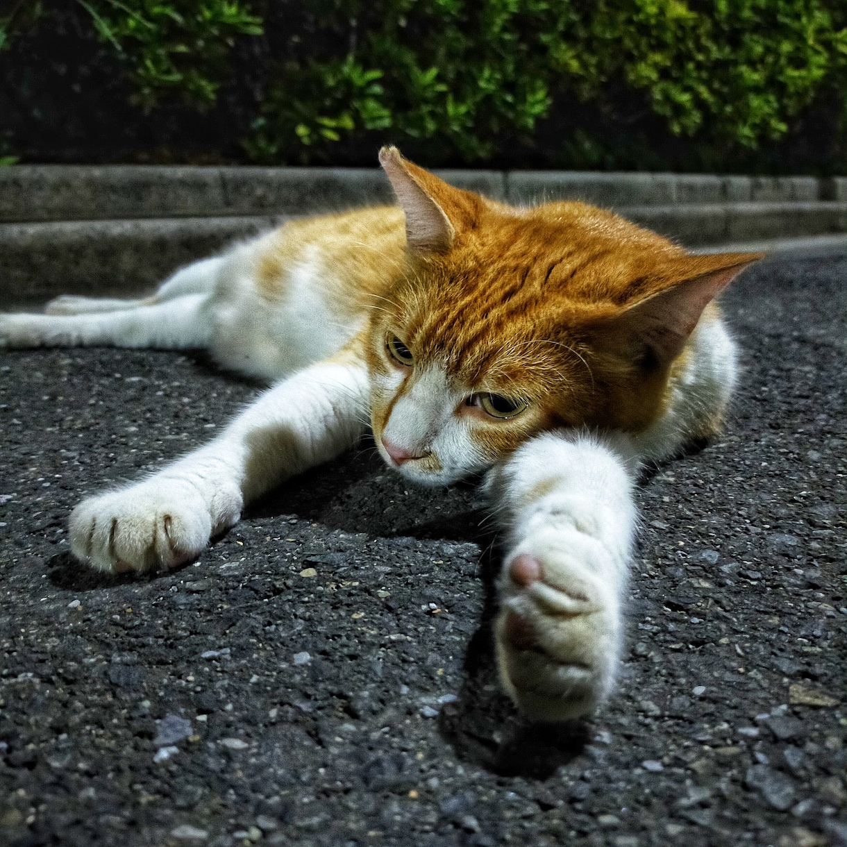 3分でもOK♪♪あなたのお話何でも聞きます ♪秘密厳守!否定しません!短くてもOK!何を話してもOK! イメージ6