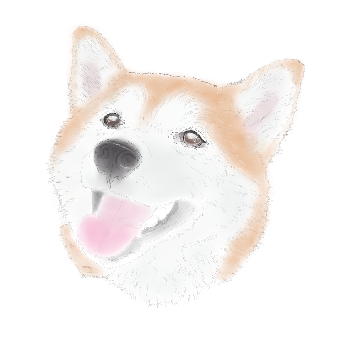 ペットな、線画を描きます うちの子線画。お写真を元にトレイスします イメージ1