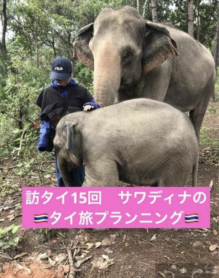 モニター価格！！あなたのタイ旅行を一緒に考えます ＊家族・1人旅・卒業旅行など様々なタイ旅の経験をシェアします イメージ1