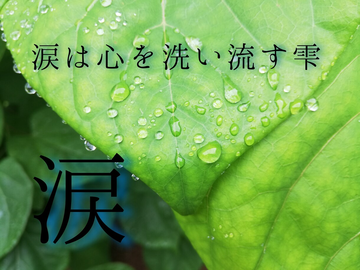 泣かせてもらえないアナタの泣き場所になります 今日くらいは声をあげて泣いてもいいじゃない イメージ4