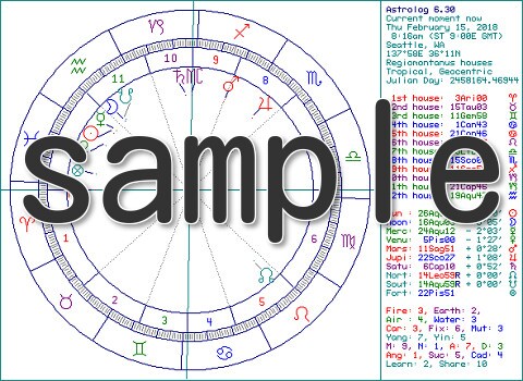 行方知れずのお身内・ペットに再会できるか占います ⭐生存確認の質問に、イエスかノーでお答えします イメージ2