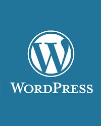 WordPressインストール、セットアップします ブログ･HPに最適なセットアップ。SEO対策と多彩な機能付き イメージ1