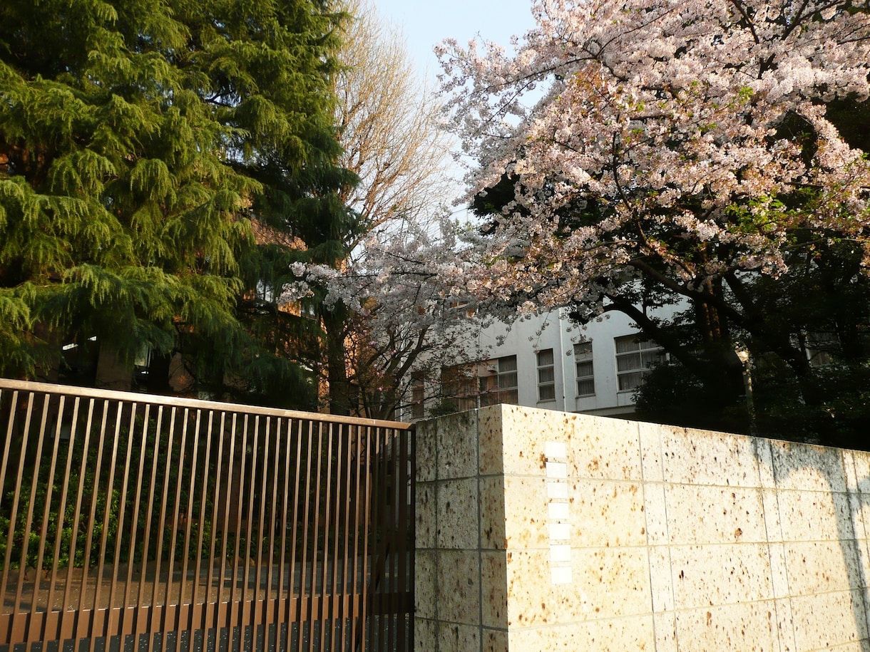 小学校受験 慶應幼稚舎 合格の秘伝の書を授けます 小学校お受験で慶應2校目指されている方必見！ イメージ1