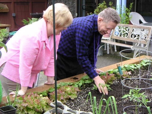 園芸療法って何？認定園芸療法士がサクっと教えます 植物を使って人を癒す園芸療法。身近な草花で出来ちゃいます♪ イメージ3