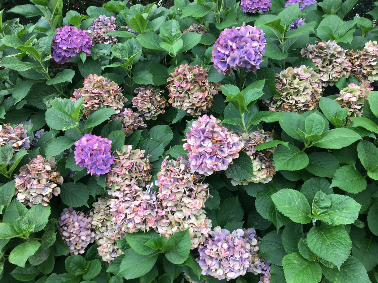 今すぐ「話を聞いてほしい！」なんでもお聴きします あなた様のお話、なんでも打ち明けてね♩ イメージ6