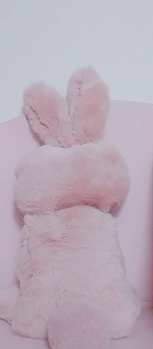 あなただけのぬいぐるみ、つくります イメージに沿うオリジナルぬいぐるみを丁寧にお作り致します。 イメージ1