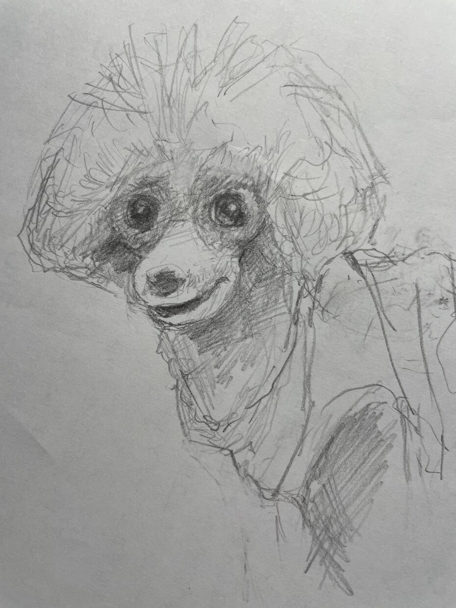 そこにいる、を感じるペットの絵を制作いたします 自宅やオフィスで癒されたい、大切な人へのプレゼントに悩む方へ イメージ8